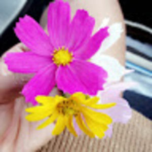 Meet your Posher, Vanìì33